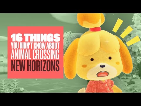 16 Things You Didn’t Know About Animal Crossing New Horizons (Even If You Played It)