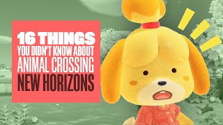 16 Things You Didn’t Know About Animal Crossing New Horizons (Even If You Played It)