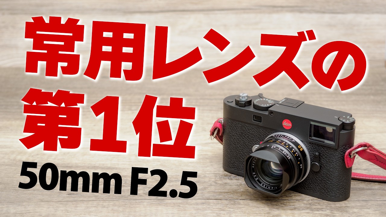 Leica SUMMARIT M 50mm f2.5 レンズ　ライカ　ズマリット My #1 Leica Daily Driver: LEICA SUMMARIT-M f2.5/50mm + SQUAREHOOD