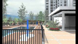 video tulipanes-pal43.wmv
