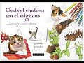 Présentation des cartes postales à colorier Chats et chatons zen et mignons