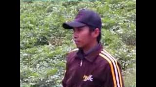 lir kacang poho kulitna