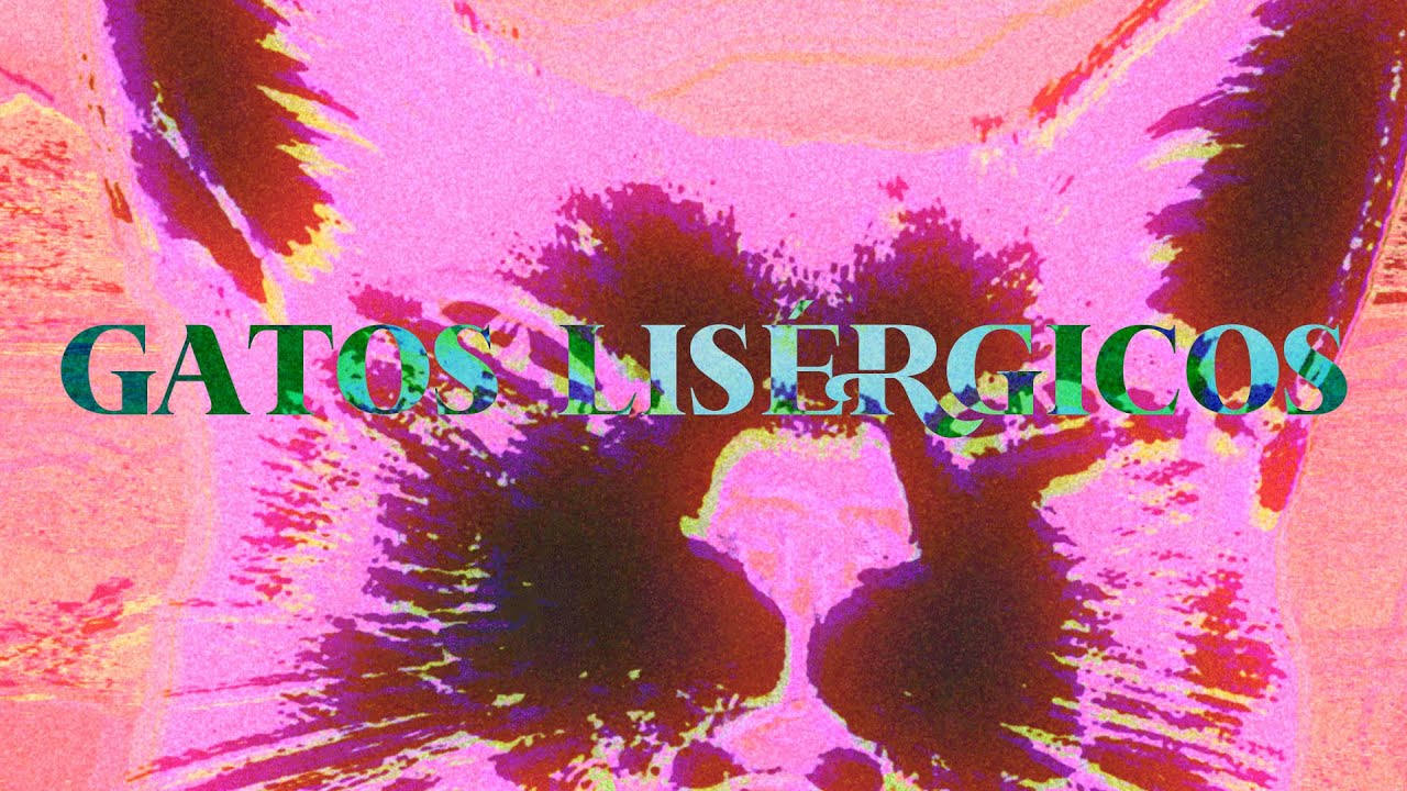GATOS LISÉRGICOS - Dani Roldi (Madrid Stoner Scene Documentary)