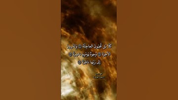 سورة القيامة ـ كلا بل تحبون العاجلة۝وتذرون الآخرة۝وجوه يومئذ ناضرة۝إلى ربها ناظره
