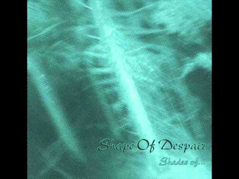 ...In The Mist Video