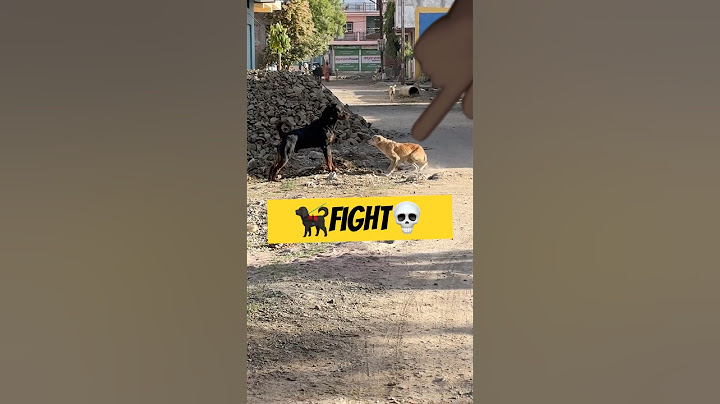 🐕‍🦺Rottweiler Vs.Street Dog 🐕￼ #shorts #ytshorts #rottweiler #dog #streetdog #dogshorts ￼