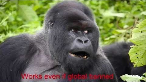 Pro Infistar Exploit - Rustler v7