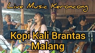 Download lagu LIVE MUSIC KOPI KALI BRANTAS KAFE ORKES KERONCONG ANASHYR MALANG