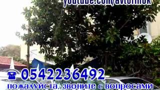 Автомобили в Израиле 1 рука б/у до 40-60 тыс шек тел 0542236492(, 2012-03-09T10:30:51.000Z)