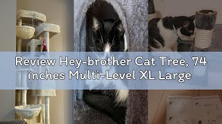 Review Hey-brother Cat Tree, 74 inches Multi-Level XL Large Cat Tower for Indoor Cats with Three Cat