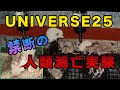 人類の未来　ユニバース２５実験