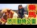 紗奈、渋川動物公園へ！初の乗馬体験！(2016.03.27) 【栢野紗奈】