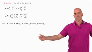 Matrix algebra: determinants | Appendix B2 | Fibonacci Numbers and the Golden Ratio