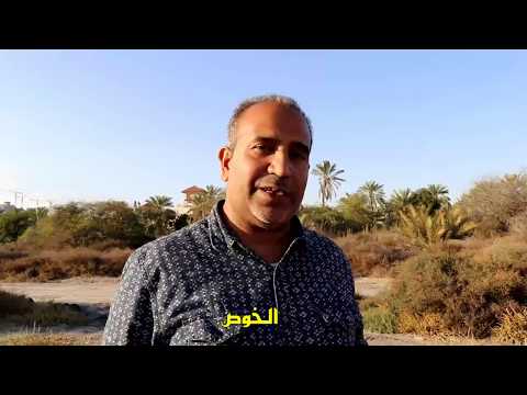 صناعات الخوص