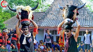 Duo Bantengan Super GEDRUK!! Mencolot Panggung | Setyo Wijoyo Live Ds Pelem Pare Kediri