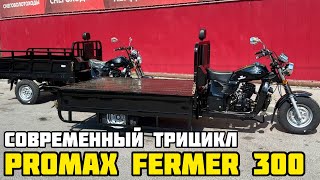 Трицикл PROMAX FERMER 300 - обзор на современный 