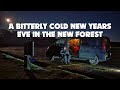 Spending New Years Eve 2020 in the New Forest