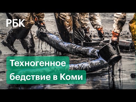 Жизнь после нефти: экологическая катастрофа в Коми спустя две недели. Репортаж РБК