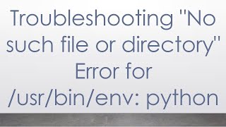 Troubleshooting 'No such file or directory' Error for /usr/bin/env: python