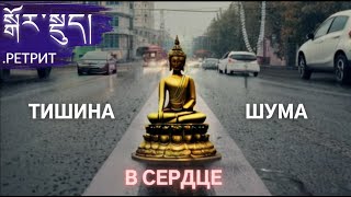 видео: Затворники в Петербурге. Без еды, воды и слов в буддийском храме | Другой Петербург картинка: Затворники в Петербурге. Без еды, воды и слов в буддийском храме | Другой Петербург