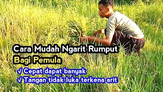 CARA NGARIT YANG BAIK DAN CEPAT BAGI PEMULA