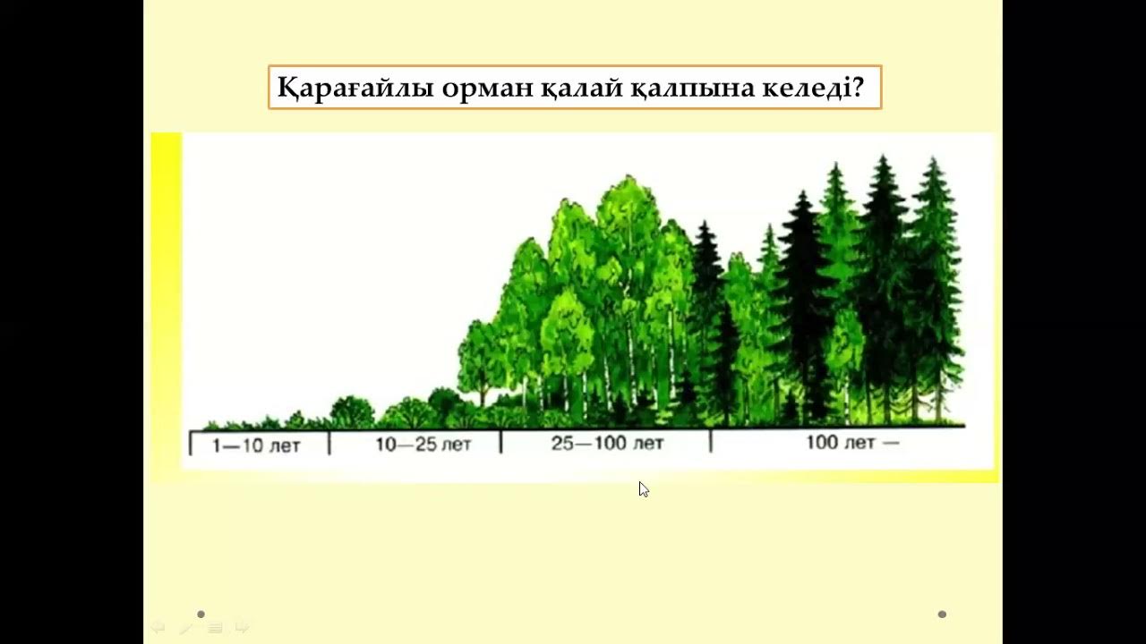 Эскалатордағы метро юбкасының астында КВН ойыншыларының жалаңаш суреттері
