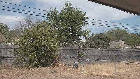 6 Fix | Who takes care of trees leaning on power lines?
