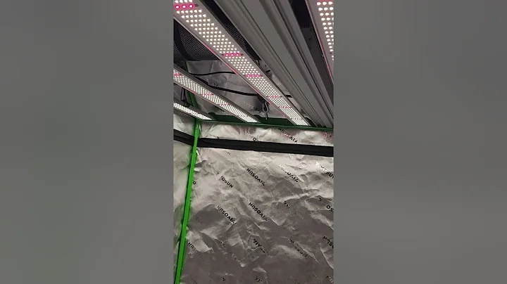 RDJ Bouns Growline 720 grow light in my new 4x4