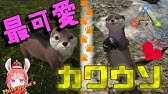 Ark Survival Evolved ラグナロク 8 カワウソ Otter のテイム ゲーム実況動画 Youtube