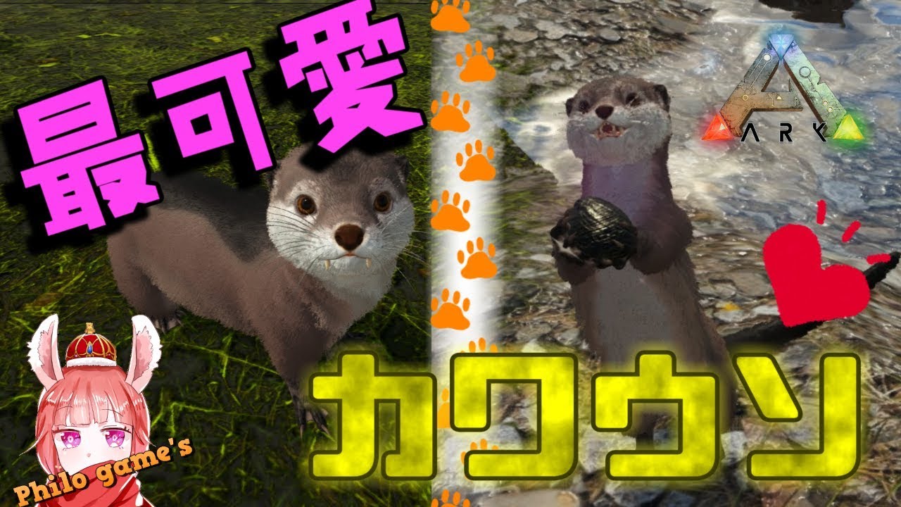 127 カワウソ かわいい Ark Youtube