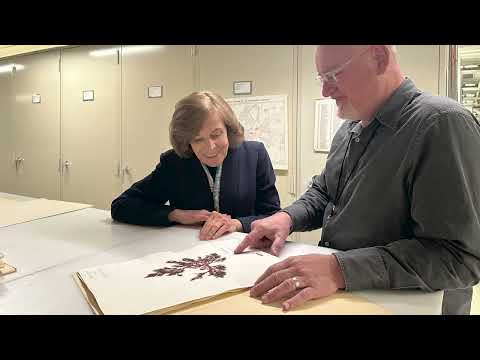 Algae Fast Facts: Barrett Brooks, Museum Specialist
