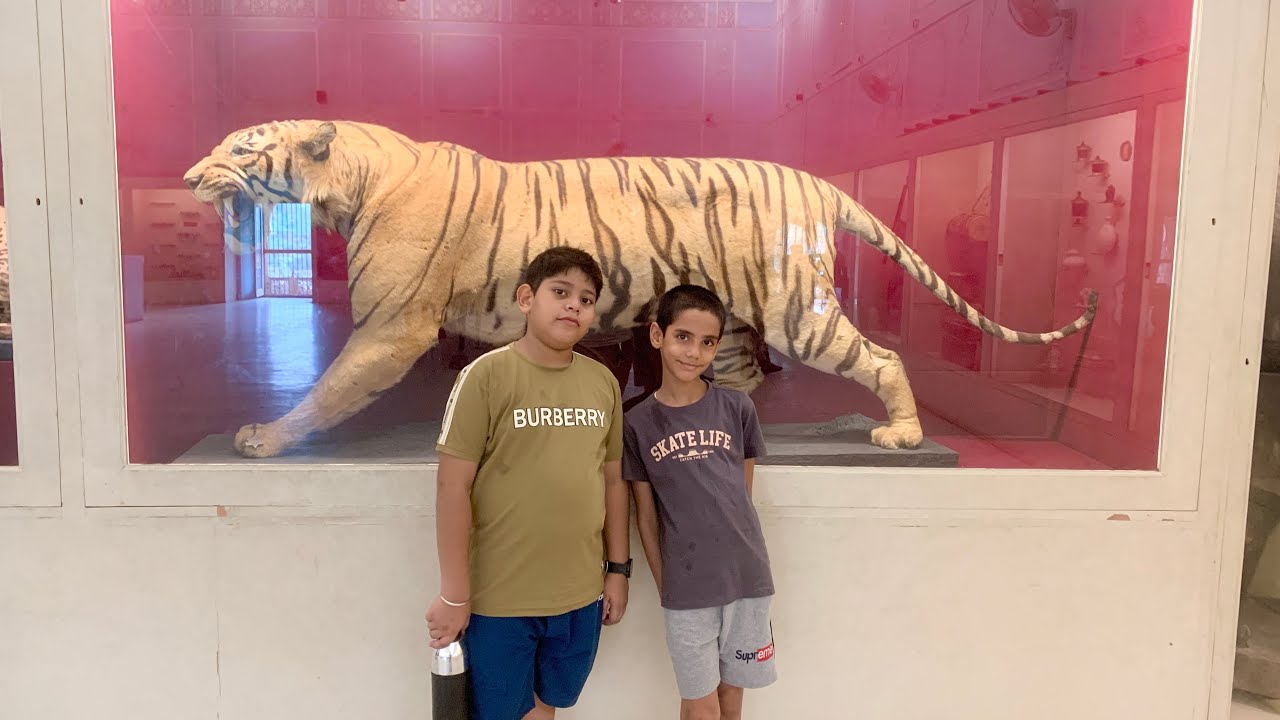 ALWAR MUSEUM TOUR / CITY PALACE MUSEUM/ RAJASTHAN  