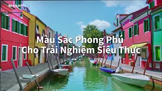 DEEP CHROMA DISPLAY – CÔNG NGHỆ HIỂN THỊ TỶ MÀU