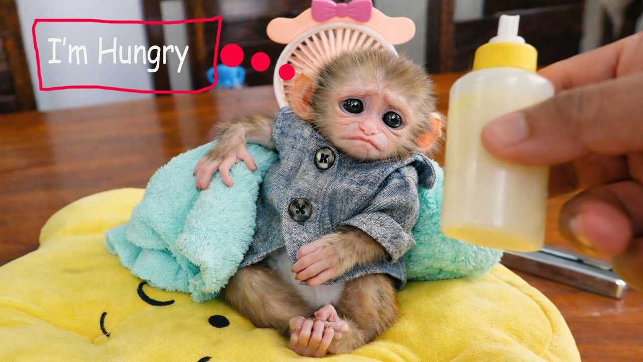 Looking at Baby's face, I know she was hungry. Don't worry, I'll give you milk.