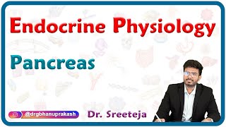 Physiology of Endocrine Pancreas : USMLE Step 1