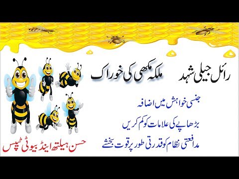 What are the benefits of royal jelly | ROYAL JELLY Shahad ke fawaid in Urdu - Hindi