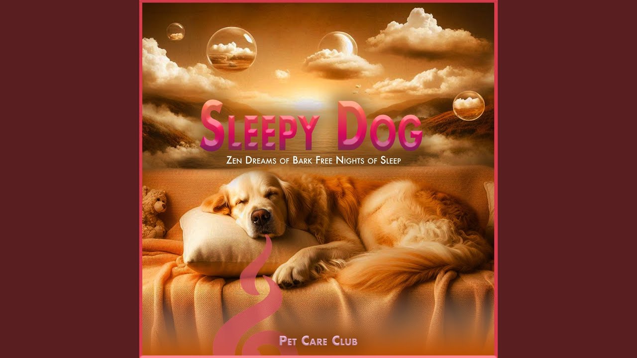 Dog Dream Mirage Moments