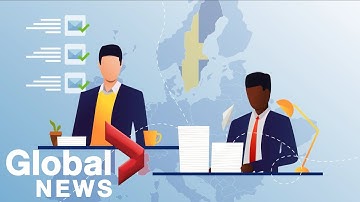 What role race may play in the hiring process