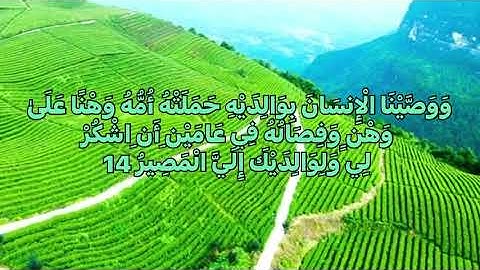 القرآن الكريم سورة لقمان وَوَصَّيْنَا الْإِنسَانَ بِوَالِدَيْهِ حَمَلَتْهُ أُمُّهُ شيخ نعمة الحسان