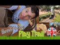 Must do hiking play trail  the best family activities in england  moors valley