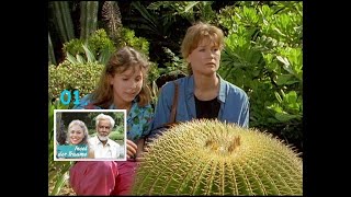 Insel der Träume - 01 S01.E01.Die verlorene Tochter (12.01.1991)