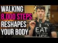 Walk 8000 steps each day for fat loss shed stubborn fat