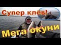 Мега окунь - Супер клёв  Рыбалка на озере в октябре 2019