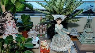 Lee Suhyun (이수현) - Into The Unknown - Begin Again Korea (비긴어게인 코리아)