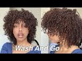 Wash And Go on 3c4a Natural Hair | Tamiak