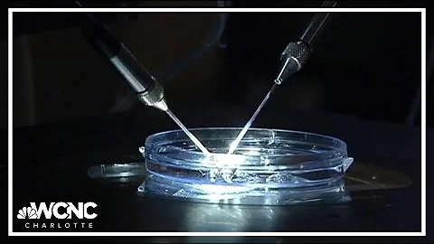 Senate Republicans block legislation on women's right to IVF