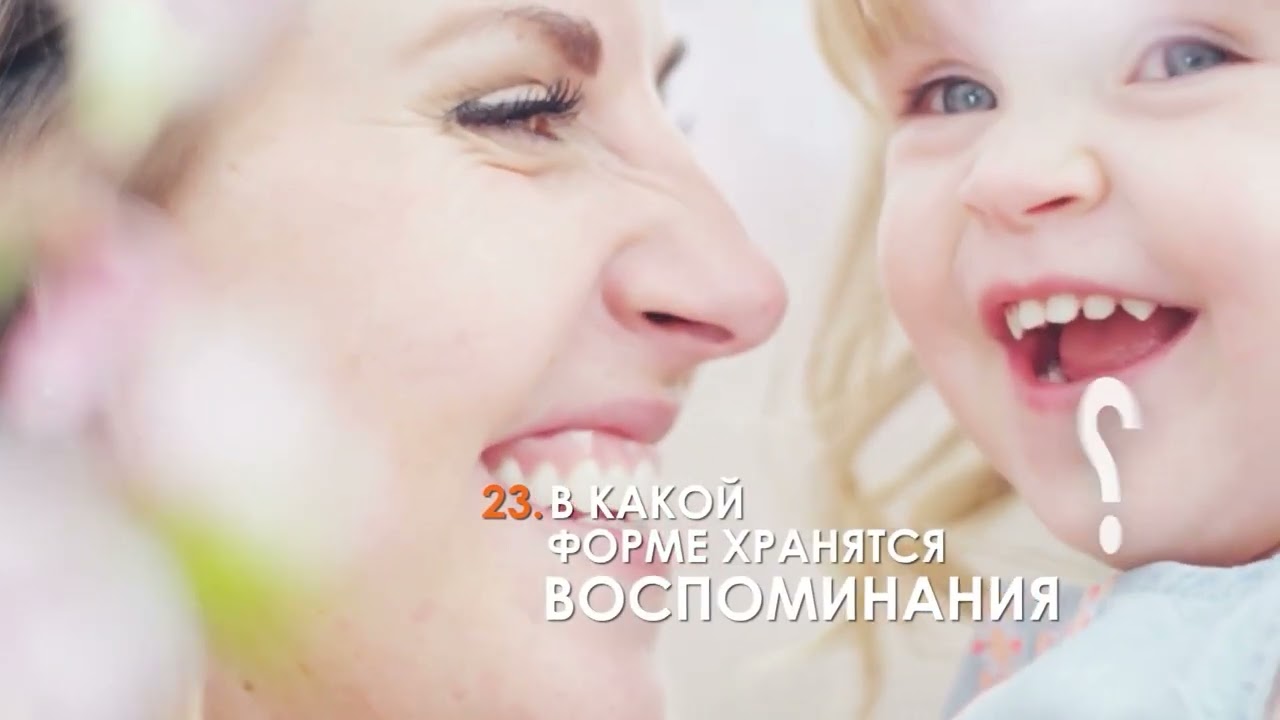 100 вопросов обо всем — Как волк стал собакой?