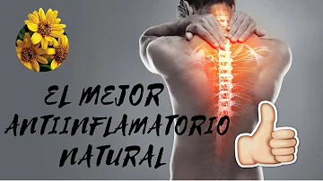 ¿Qué es un buen antiinflamatorio natural?