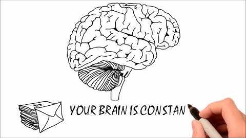 Is Your Perception of Reality Correct?