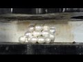 Real Pearls Crushed To Dust In Hydraulic Press